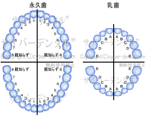 ̕ʎQl}